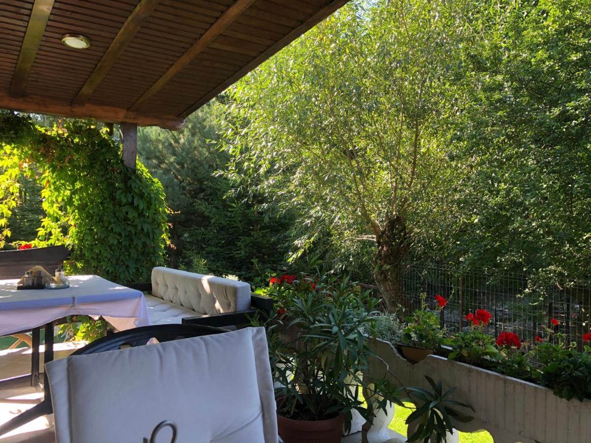 Hotel boutique Garden Resort by Brancoveanu Moieciu de Jos Extérieur photo